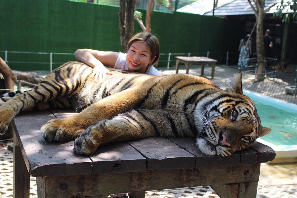 【RIZIN】浅倉カンナが本物の虎と戯れる画像にファン騒然「食べられなくてよかった」