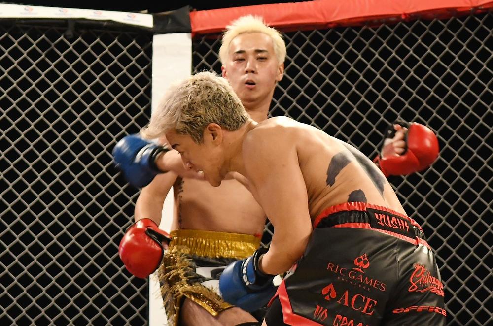 フランキー・ジェナロ