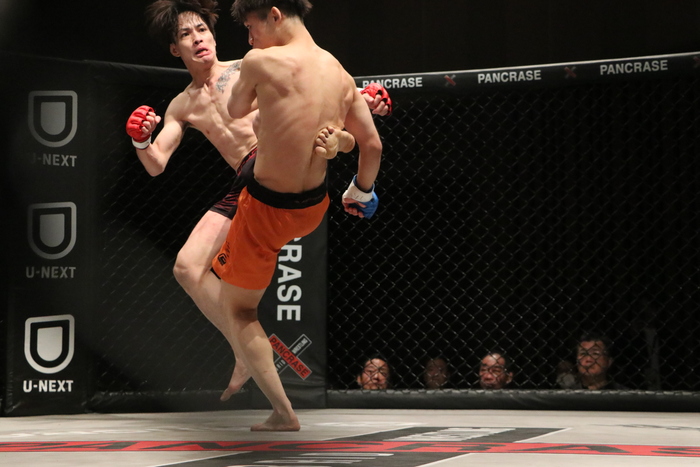 PANCRASE】ネオブラバンタム級・菅歩夢が坂本瑞氣に一本勝ちで優勝